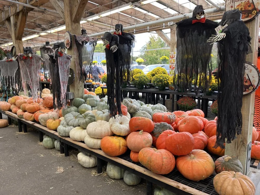 Expert outdoor landscaping in Reading, MA - Calareso's Farm Stand