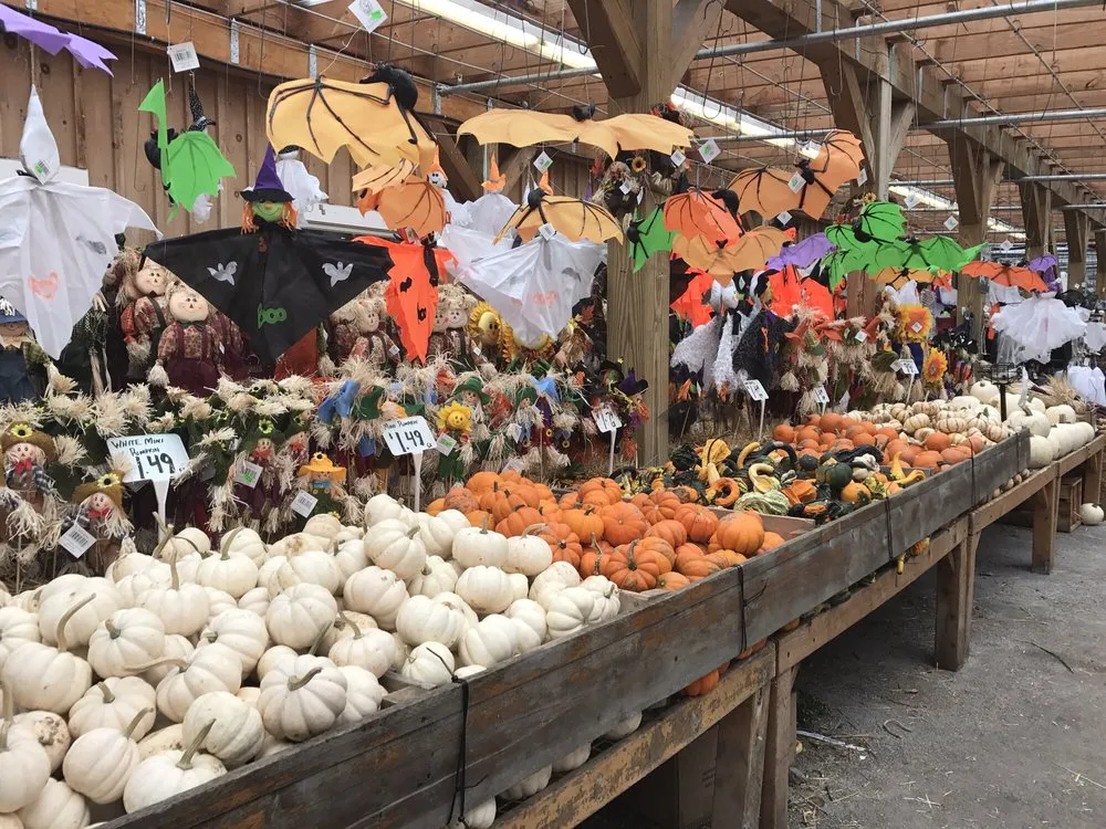 Expert lawn care service experts serving Reading, MA - Calareso's Farm Stand