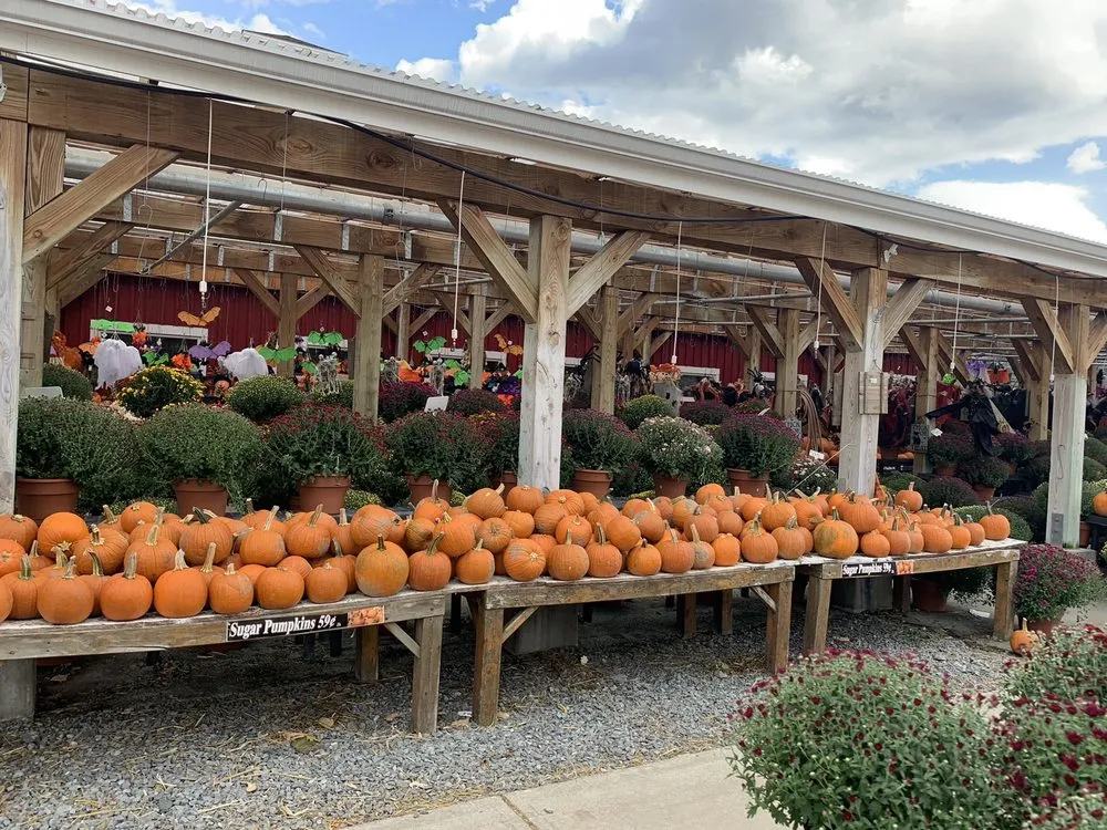 Custom lawn mowing service in Reading, MA by Calareso's Farm Stand