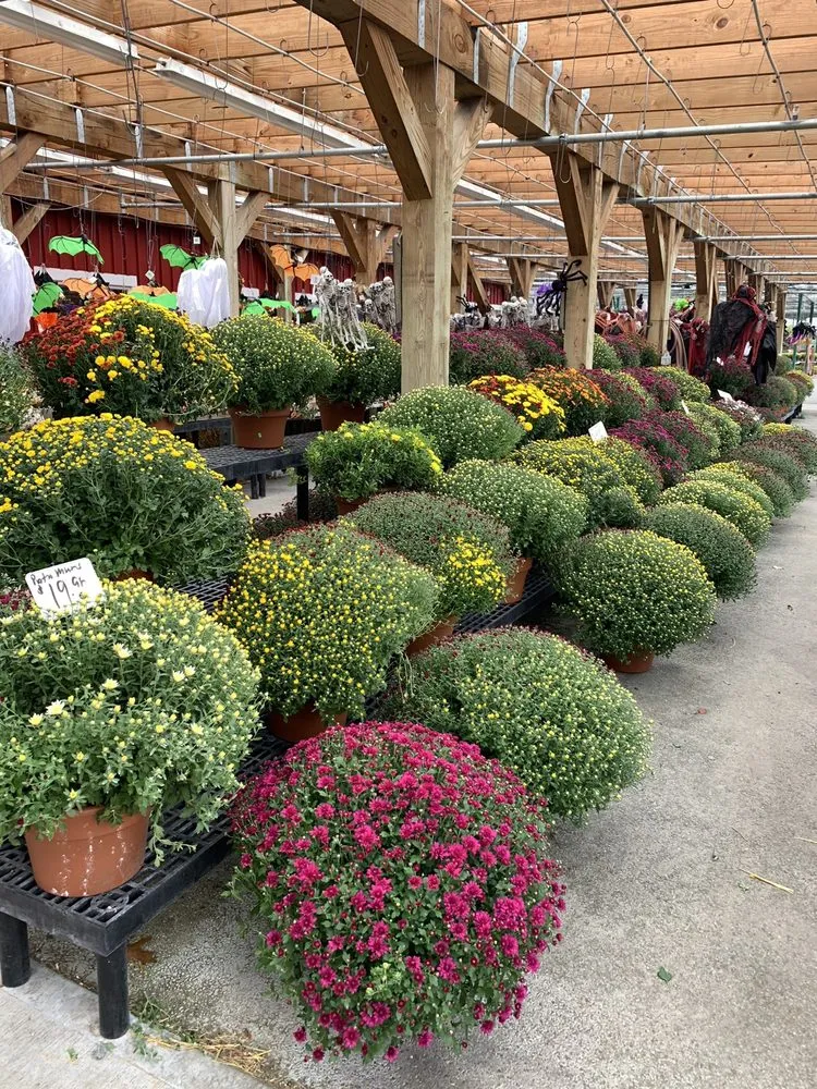 Top-rated lawn mowing service experts serving Reading, MA - Calareso's Farm Stand