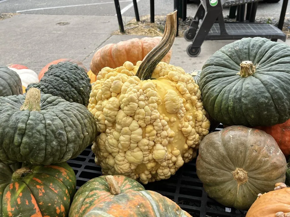 Professional outdoor landscaping with custom design across Reading, MA - Calareso's Farm Stand