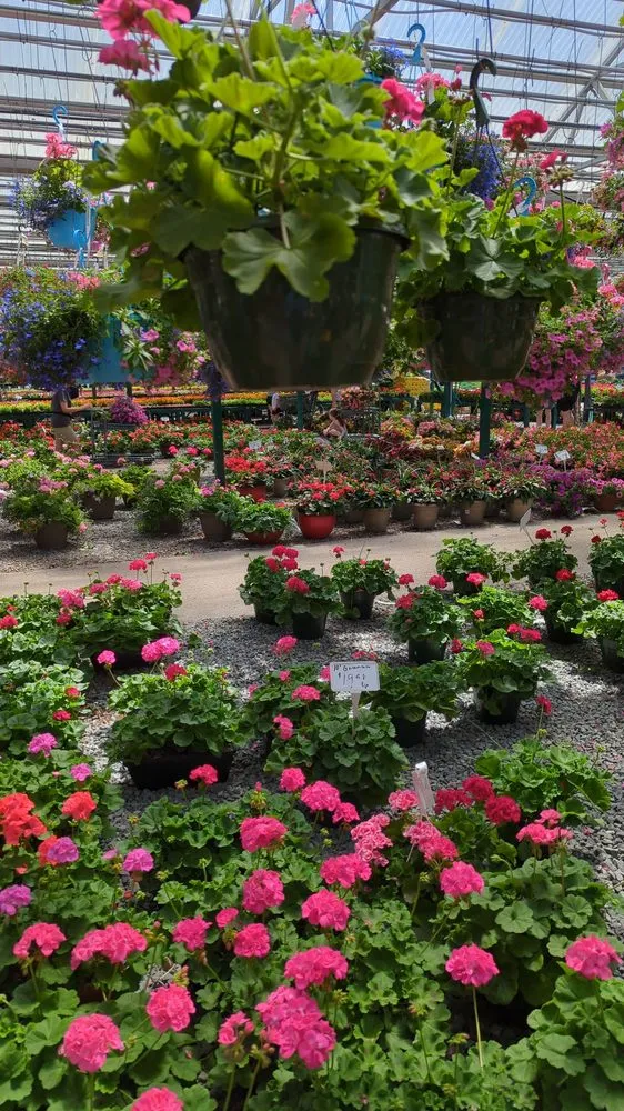 Professional landscape installation in Reading, MA by Calareso's Farm Stand