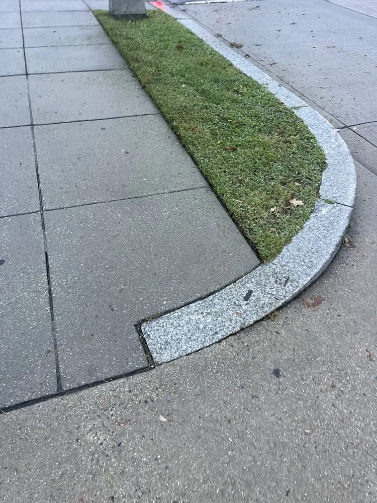 Trusted residential landscaping for outdoor upgrades across Montgomery Village, MD - Calazin Landscaping