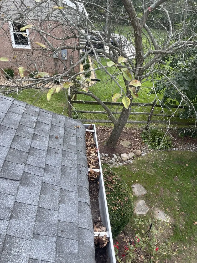 Top-rated landscape installation for residential properties across Montgomery Village, MD - Calazin Landscaping