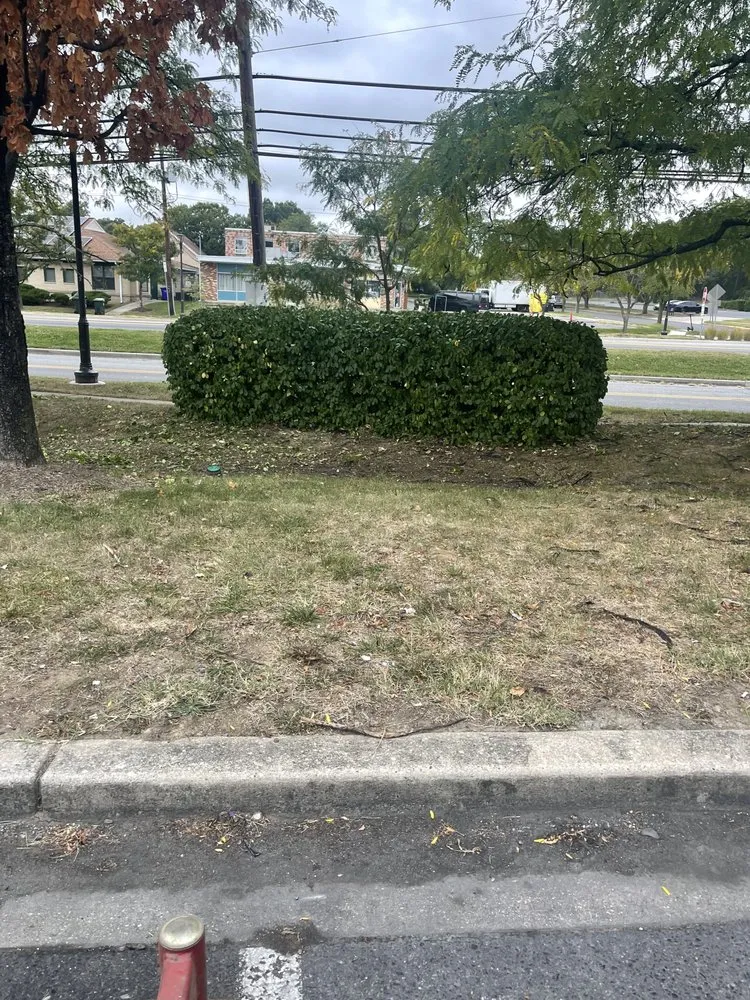 Affordable landscaping services experts serving Montgomery Village, MD - Calazin Landscaping