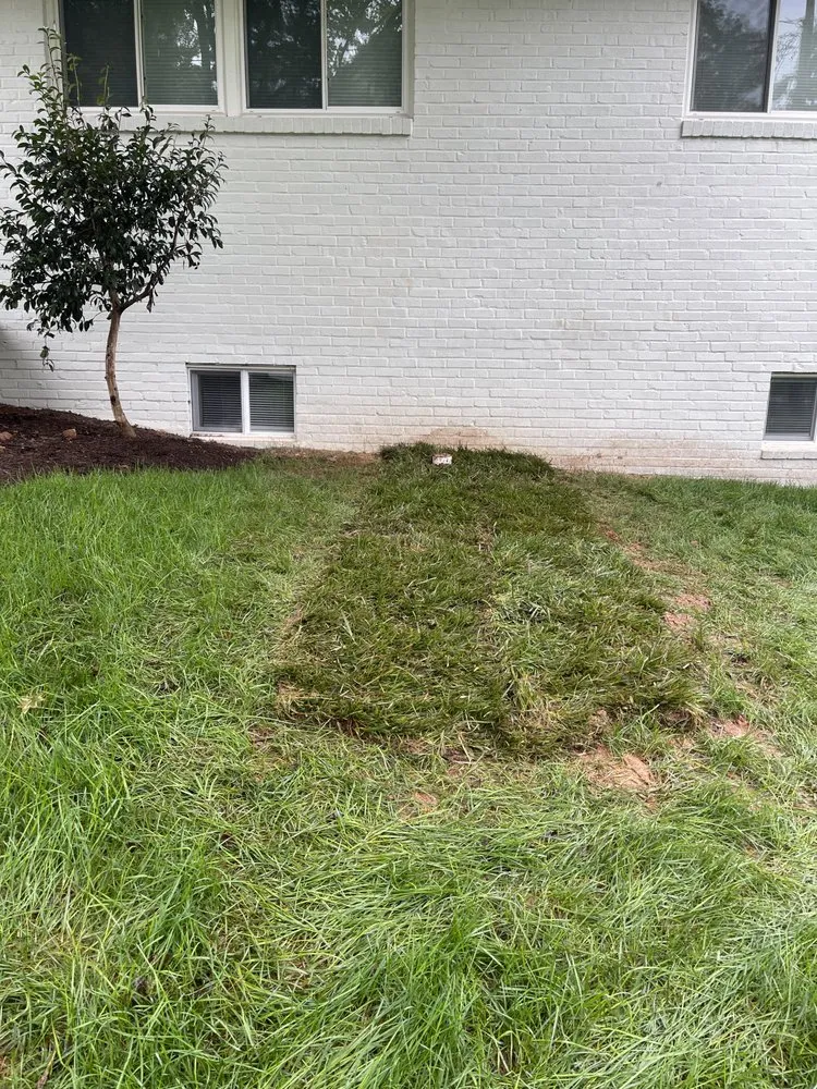 Reliable lawn care service for homes across Montgomery Village, MD - Calazin Landscaping