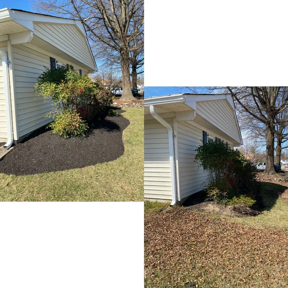 Custom yard cleanup service in Silver Spring, MD by Calcano Landscaping
