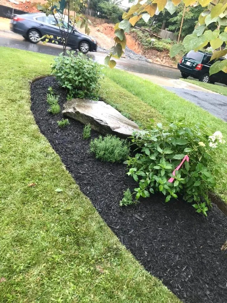 Expert landscape installation for homes across Silver Spring, MD - Calcano Landscaping