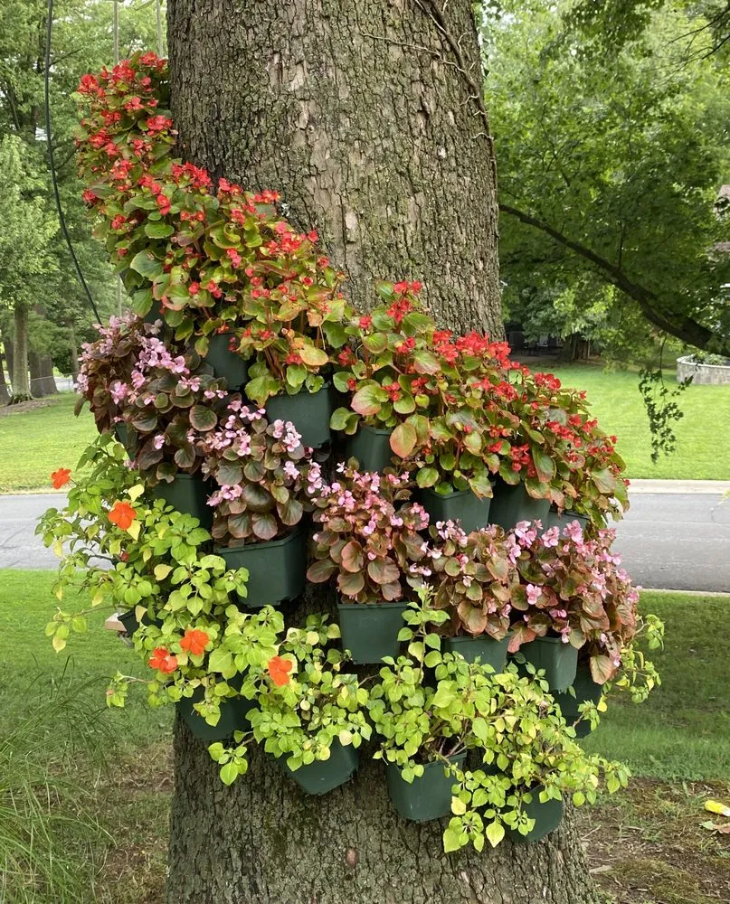 Custom lawn care service near you across Silver Spring, MD - Calcano Landscaping