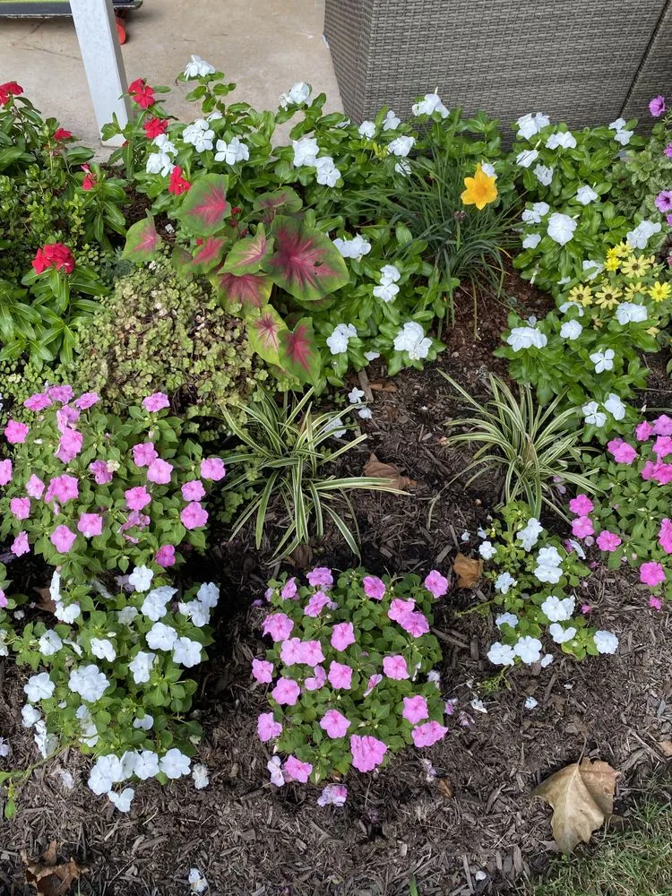 Reliable outdoor landscaping for outdoor upgrades in Silver Spring, MD by Calcano Landscaping