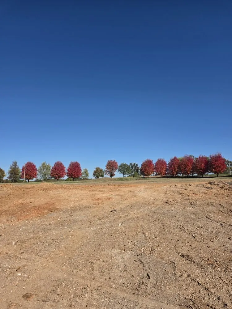 Affordable landscaping services in Bella Vista, AR by Calderon Earthwork