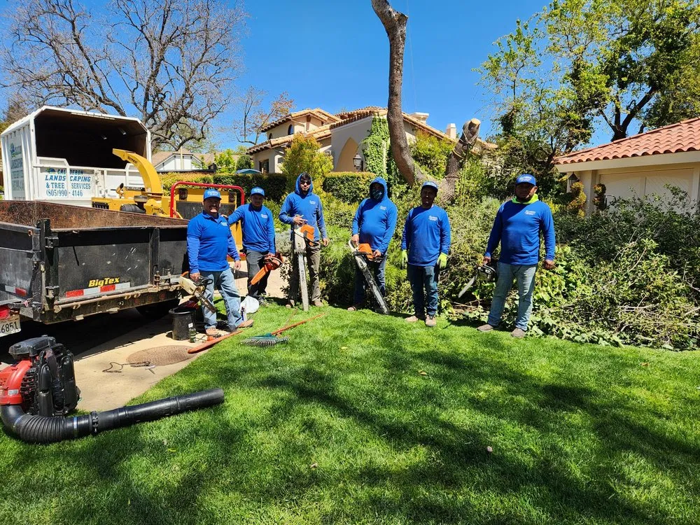 Affordable yard maintenance with custom design in Simi Valley, CA by Calderon Landscaping & Tree Service