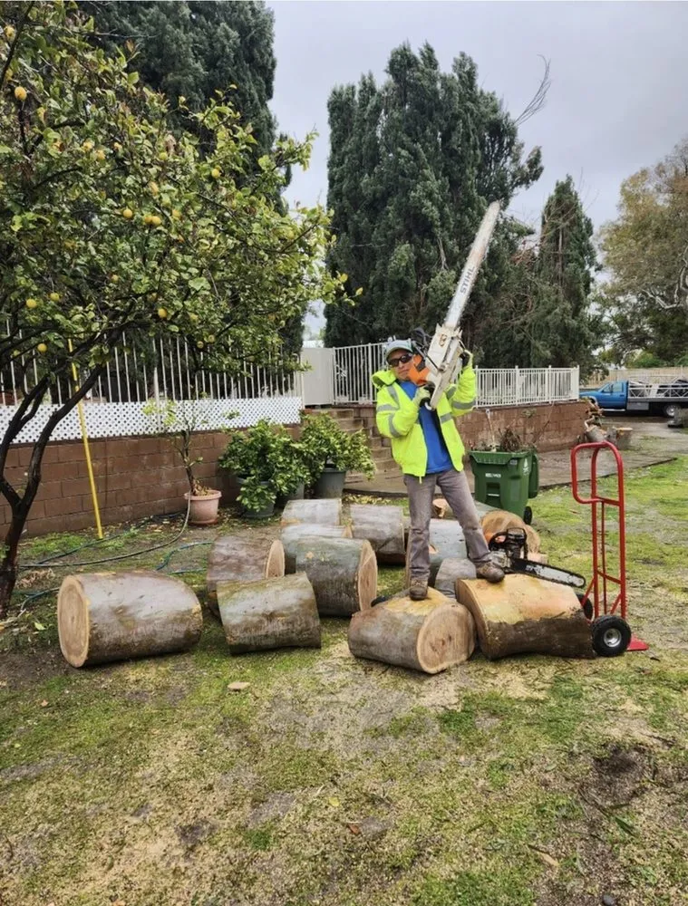 Expert residential landscaping in Simi Valley, CA - Calderon Landscaping & Tree Service