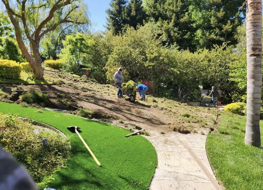 Professional lawn care service for year-round maintenance across Simi Valley, CA - Calderon Landscaping & Tree Service