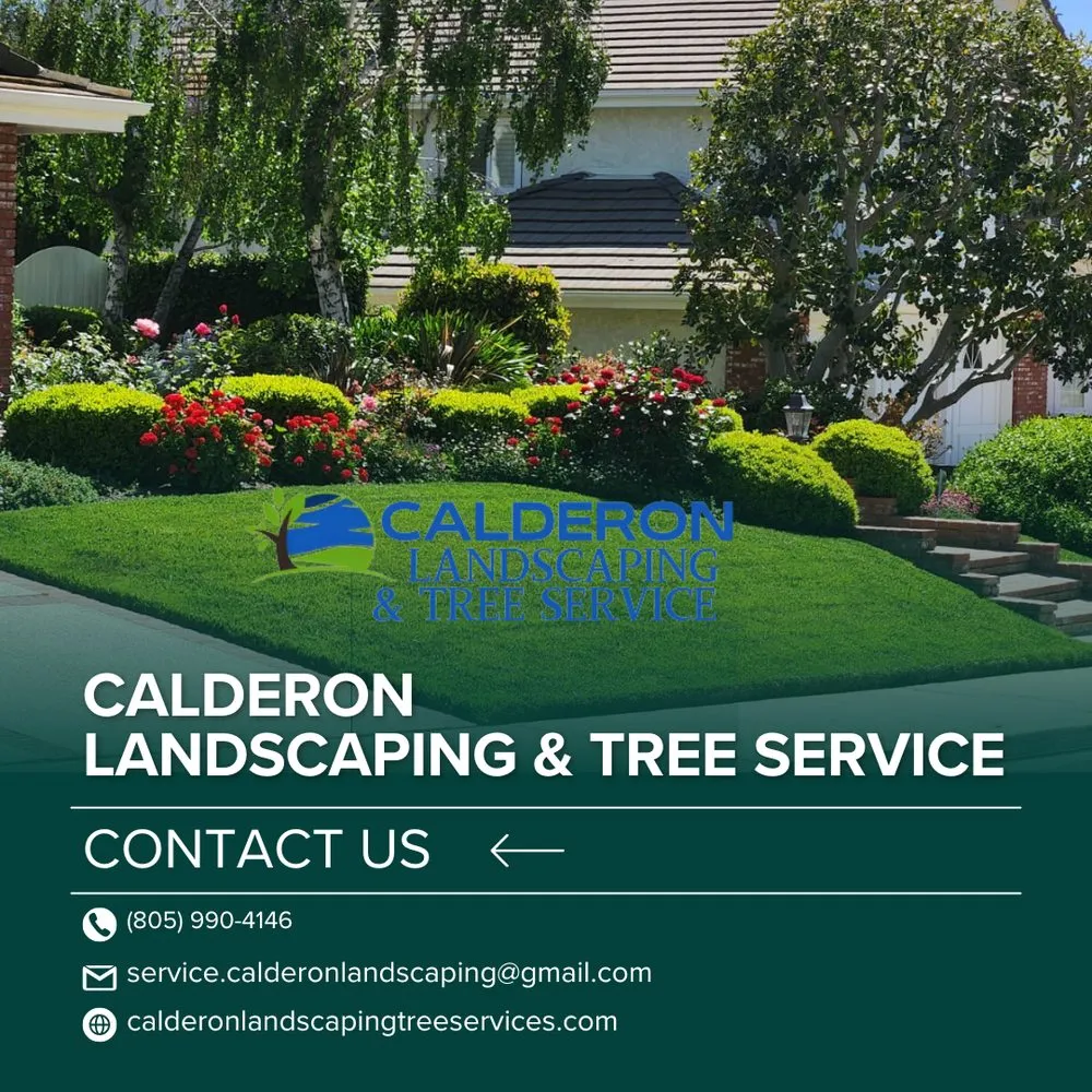 Trusted yard cleanup service near you in Simi Valley, CA by Calderon Landscaping & Tree Service