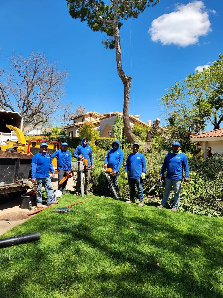 Local garden landscaping for beautiful yards in Simi Valley, CA by Calderon Landscaping & Tree Service