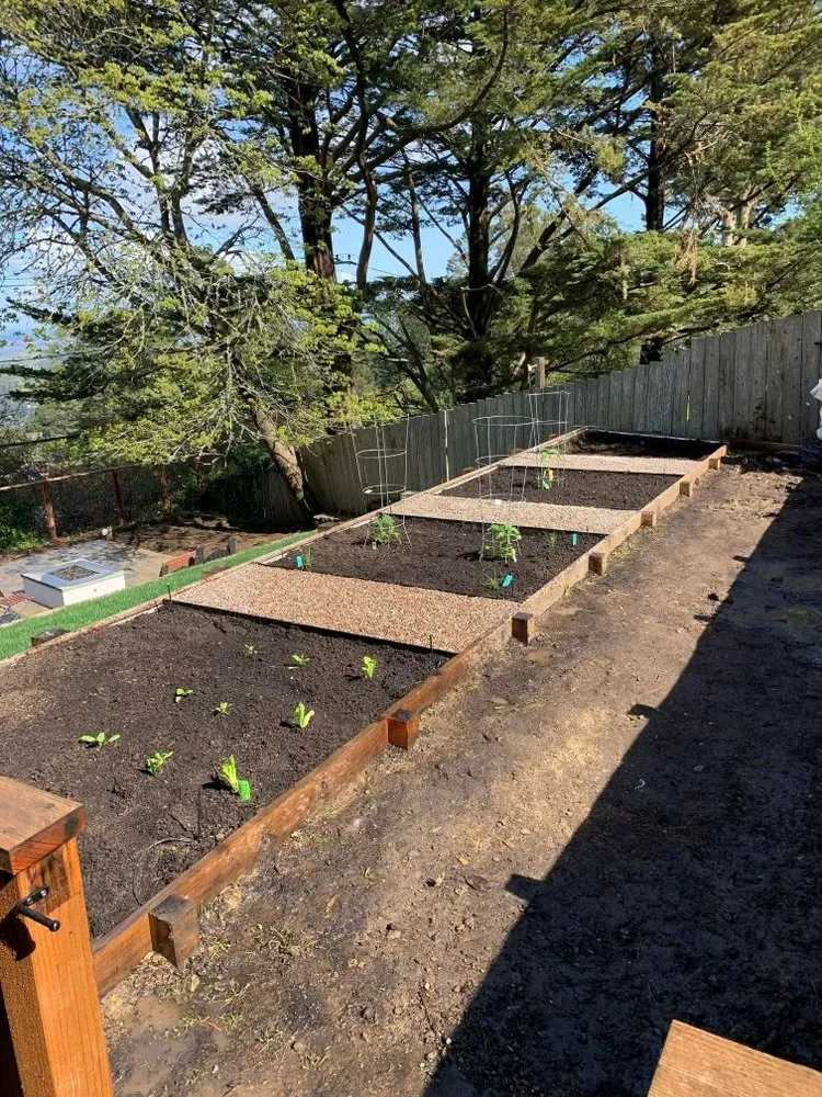 Local landscape installation for year-round maintenance in Novato, CA by Calderon Landscaping Services