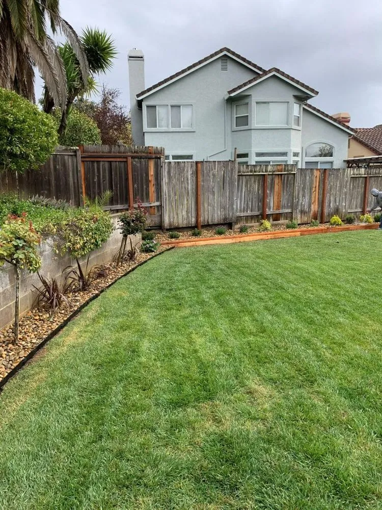 Trusted landscape design in Novato, CA - Calderon Landscaping Services