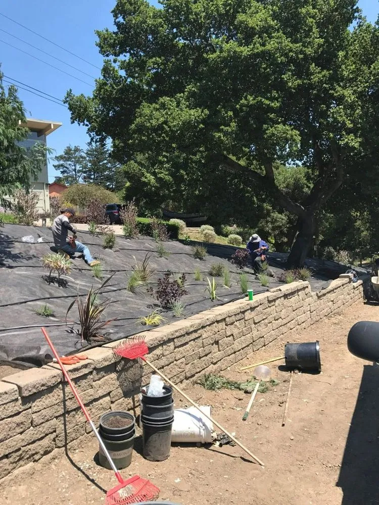 Trusted landscaping services in Novato, CA - Calderon Landscaping Services
