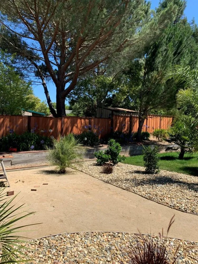 Local yard maintenance experts serving Novato, CA - Calderon Landscaping Services