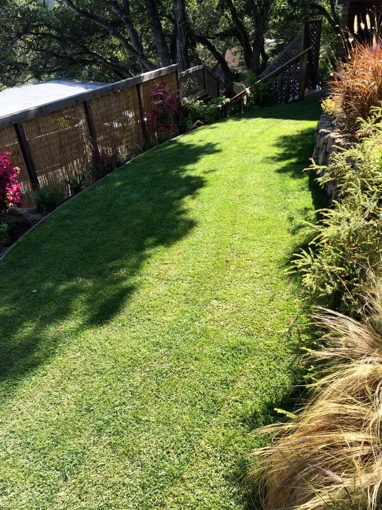Expert lawn mowing service in Novato, CA by Calderon Landscaping Services