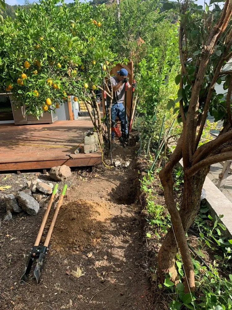 Expert outdoor landscaping in Novato, CA - Calderon Landscaping Services