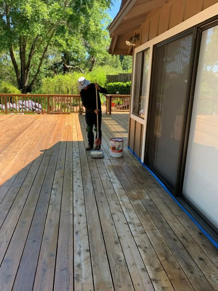 Professional landscape design in Novato, CA - Calderon Landscaping Services