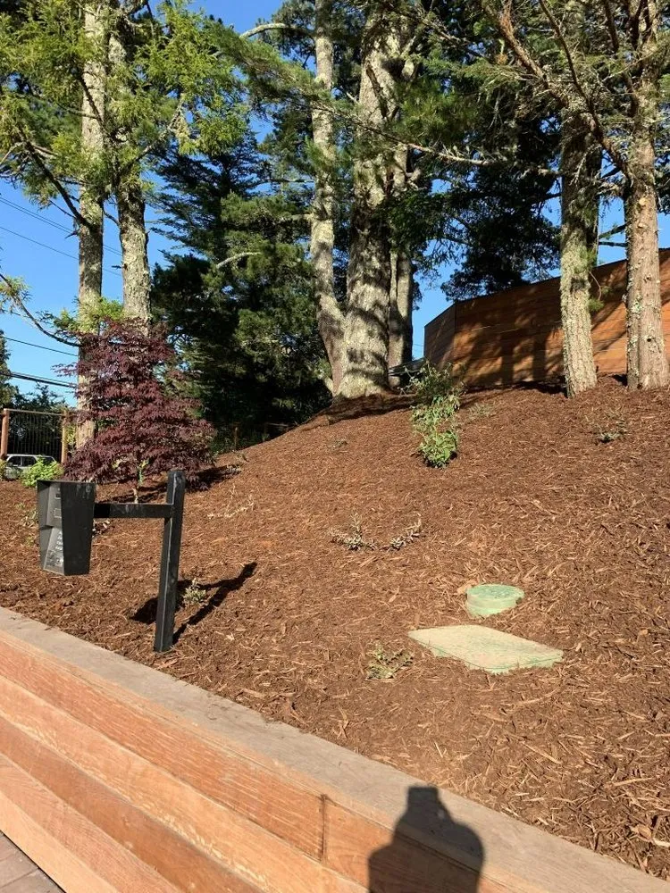 Trusted residential landscaping for outdoor upgrades across Novato, CA - Calderon Landscaping Services