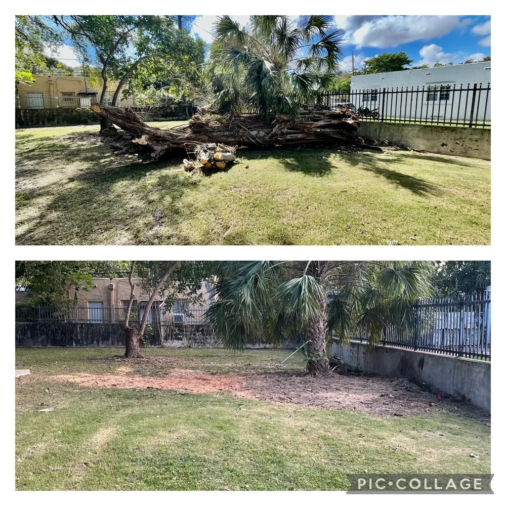 Local yard maintenance for outdoor upgrades across Homestead, FL - Calderon Stump Removal Services