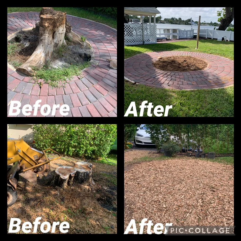 Reliable outdoor landscaping in Homestead, FL - Calderon Stump Removal Services