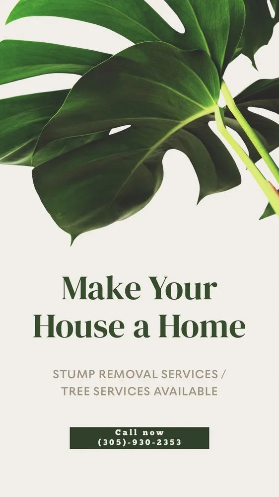 Professional landscaping services in Homestead, FL by Calderon Stump Removal Services