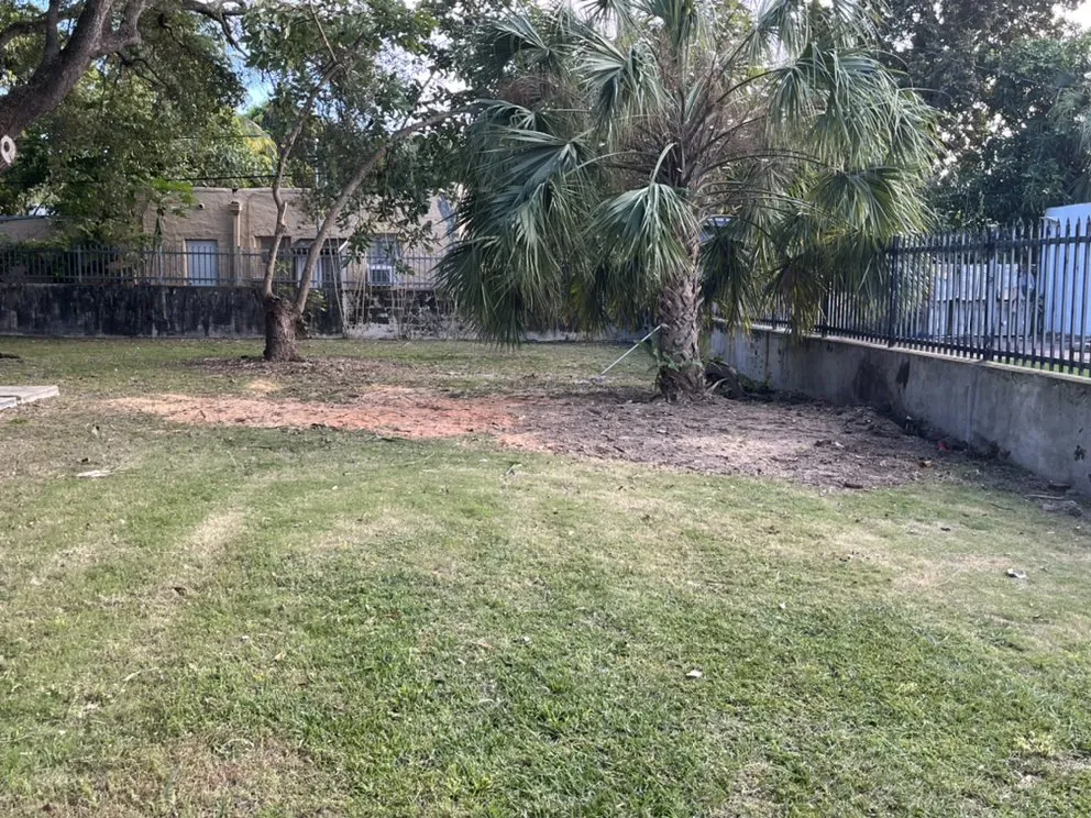Expert landscaping services for year-round maintenance across Homestead, FL - Calderon Stump Removal Services