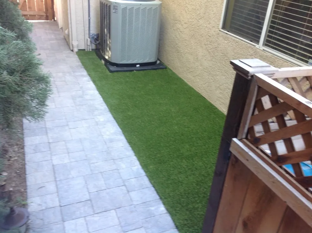 Reliable yard maintenance for year-round maintenance in San Diego, CA by Calderon's Landscape