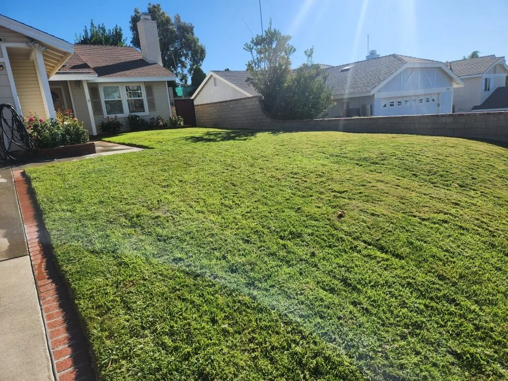Top-rated yard maintenance in Santa Clarita, CA by Calderon's Landscaping