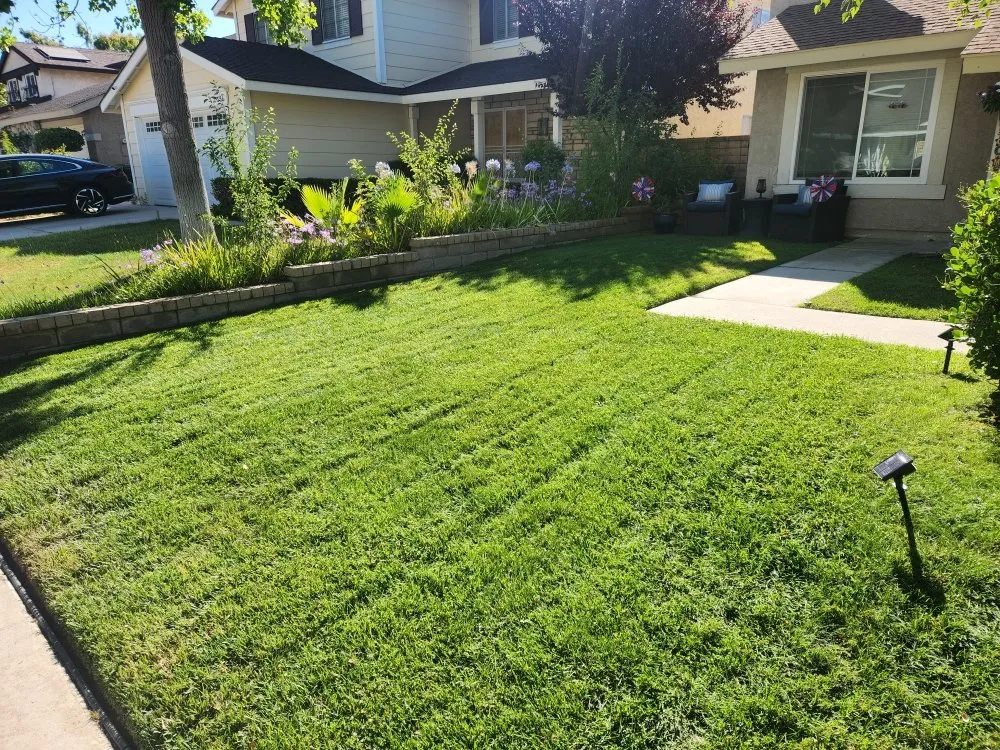Custom yard maintenance experts serving Santa Clarita, CA - Calderon's Landscaping