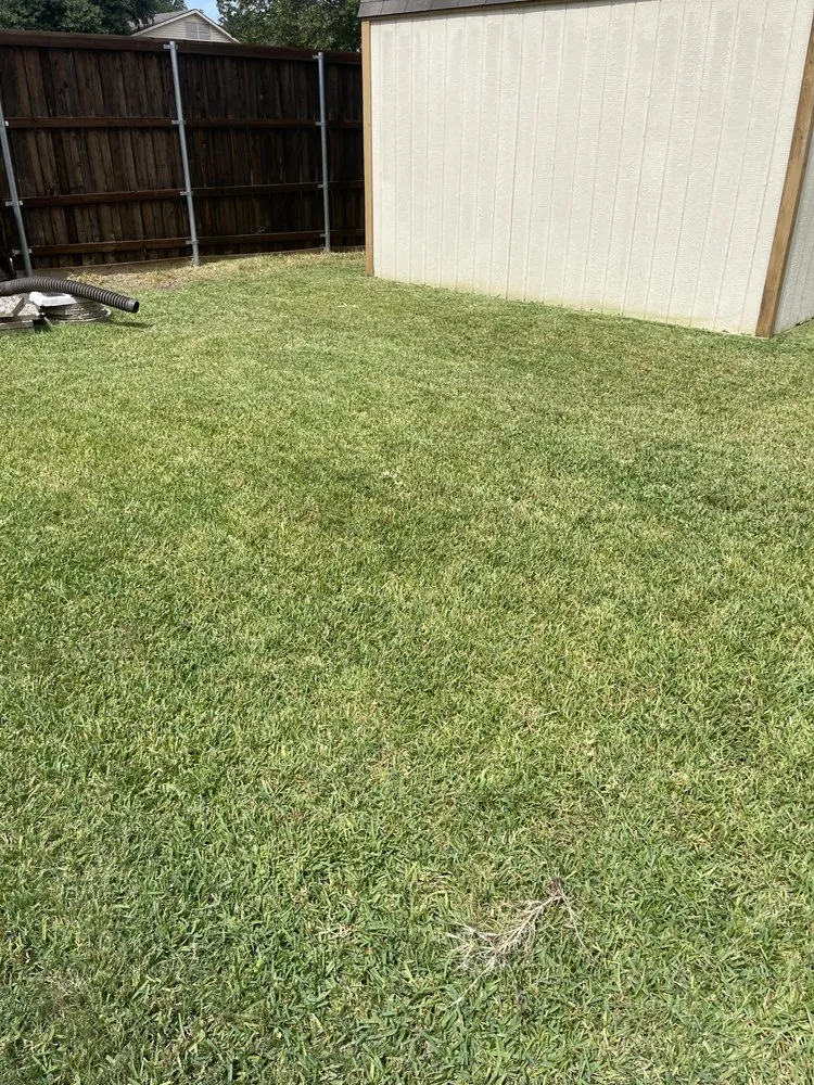 Top-rated landscaping services for beautiful yards across Plano, TX - Caldwell Capitals