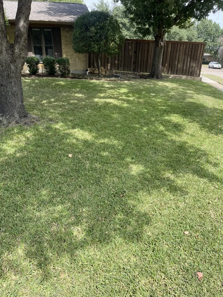 Professional yard cleanup service in Plano, TX by Caldwell Capitals