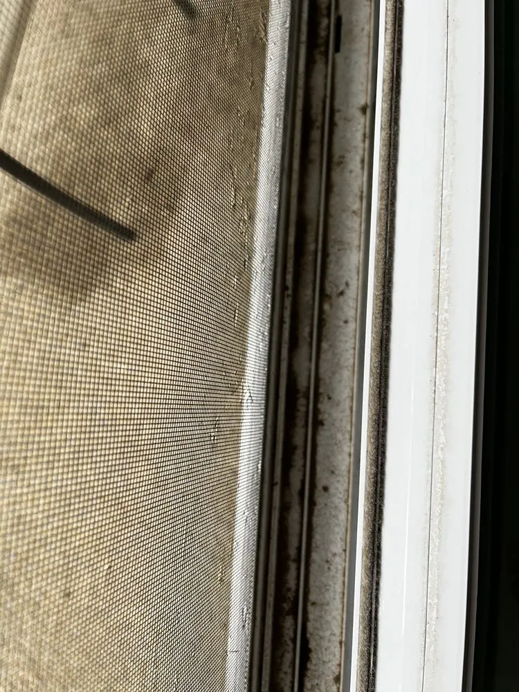 Trusted outdoor landscaping in Fairview, TN by Caldwell Cleaning Company