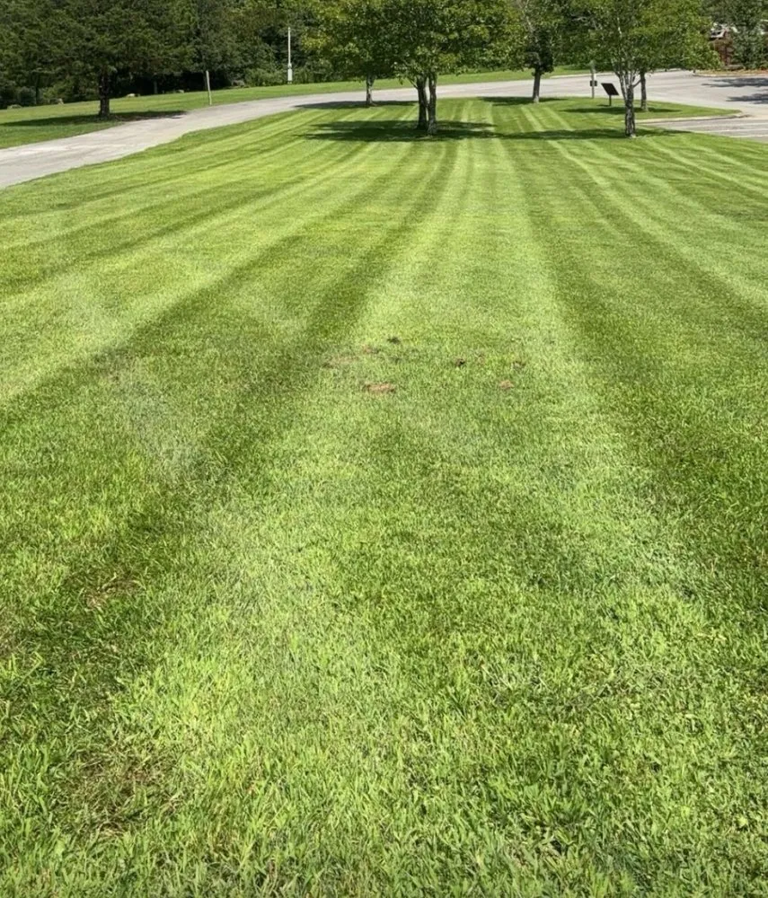 Affordable residential landscaping in Pineville, KY by Caldwell Custom Landscaping