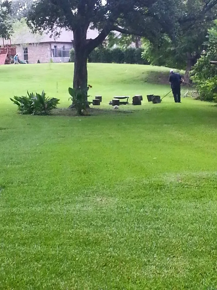 Reliable landscaping services for outdoor upgrades in Duson, LA by Caldwell Lawn Works