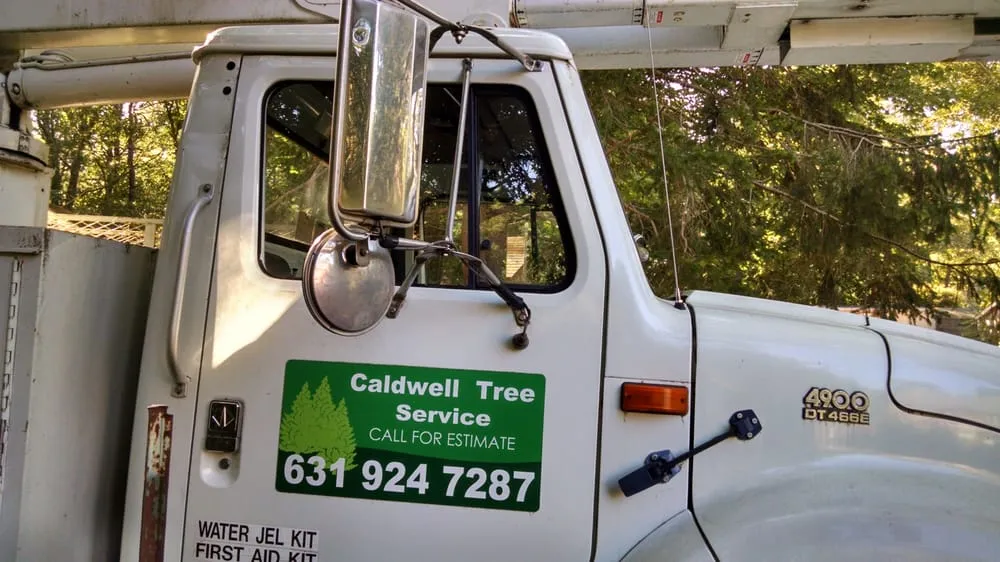 Affordable outdoor landscaping for beautiful yards across Yaphank, NY - Caldwell Tree Service