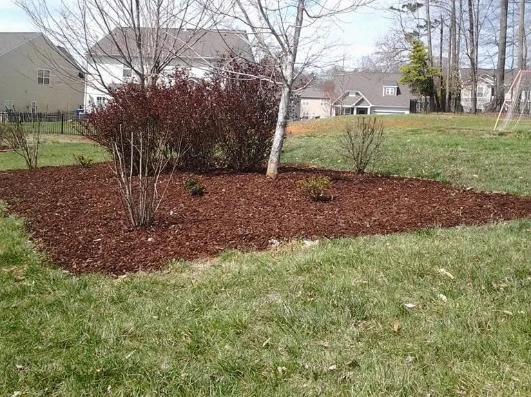 Trusted yard cleanup service for homes across Lowell, NC - Caldwell's Lawn Enforcement