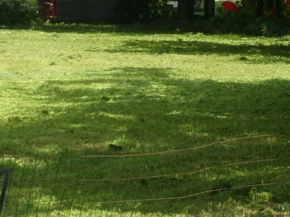 Custom outdoor landscaping experts serving Lowell, NC - Caldwell's Lawn Enforcement