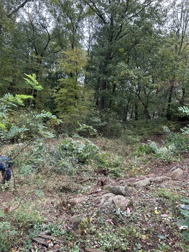 Affordable residential landscaping in Providence, RI - Caleb Carrillo’s Construction