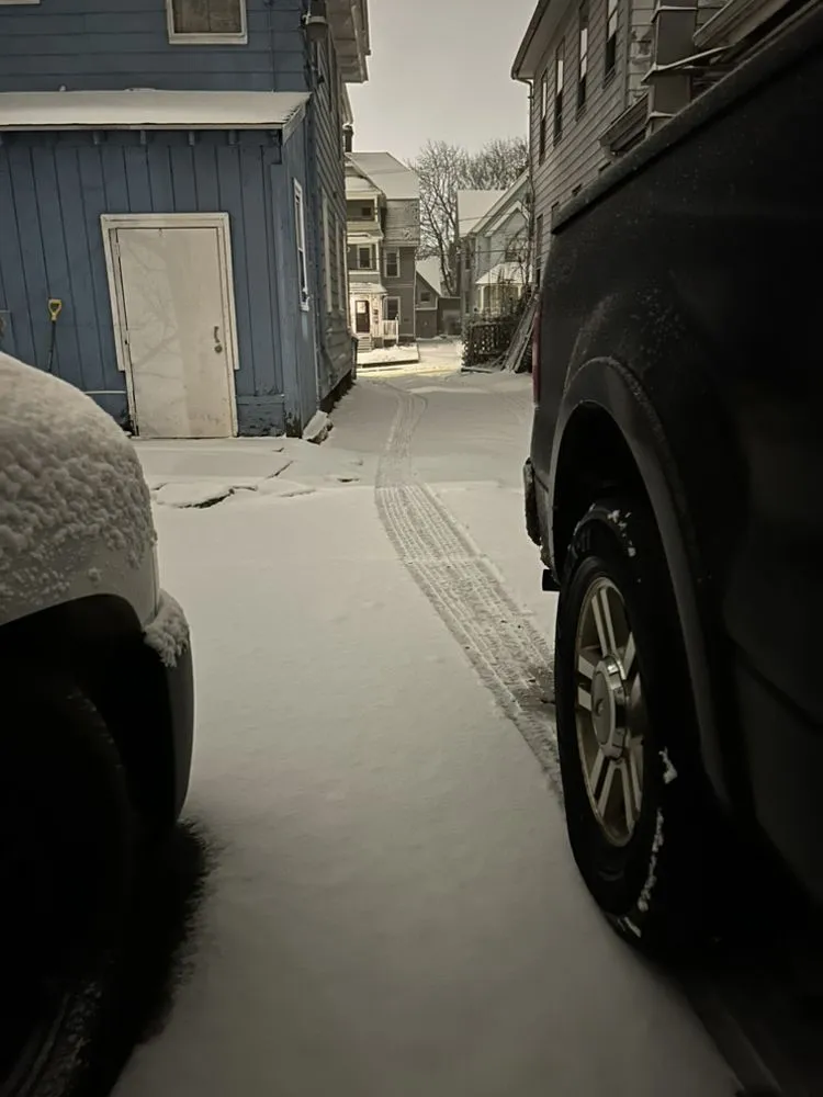 Reliable yard cleanup service in Providence, RI by Caleb Carrillo’s Construction