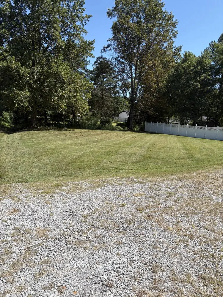 Expert yard cleanup service for homes in Rockvale, TN by Caleb Carroll