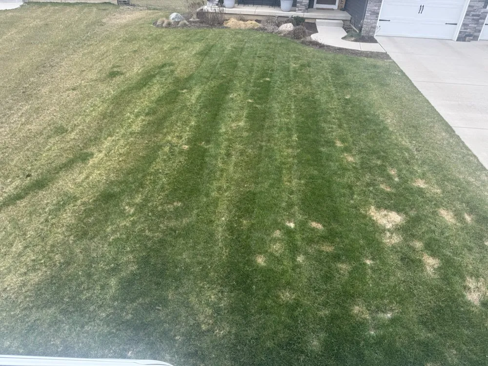 Custom garden landscaping for year-round maintenance in Mason, MI by Caleb Cuts