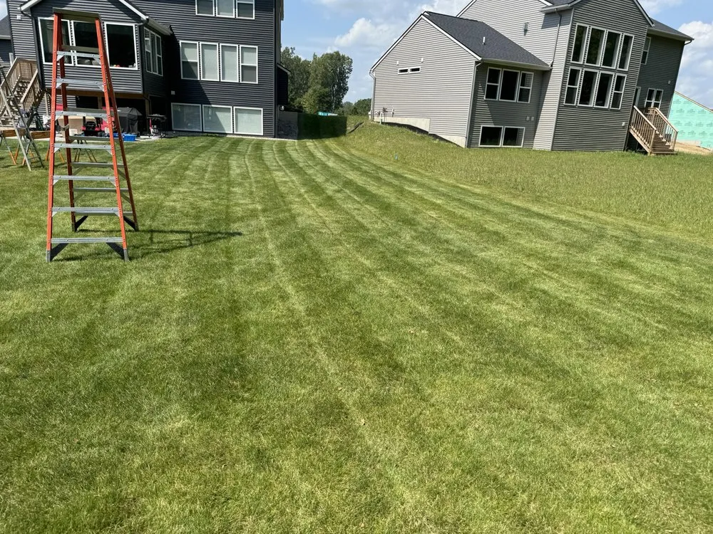Expert yard cleanup service in Mason, MI by Caleb Cuts