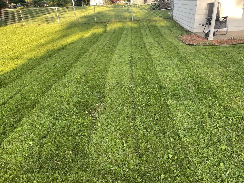Expert residential landscaping for beautiful yards across Mason, MI - Caleb Cuts