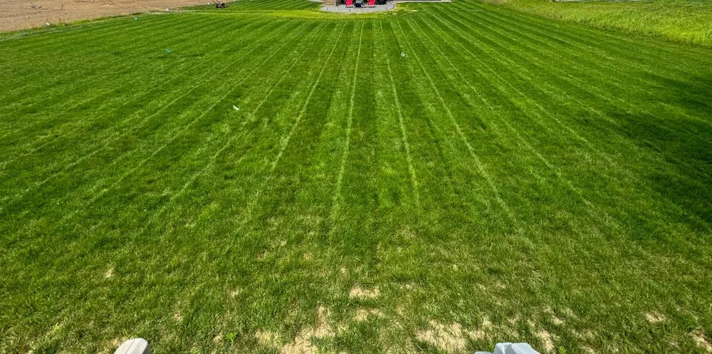 Local landscape installation in Mason, MI by Caleb Cuts